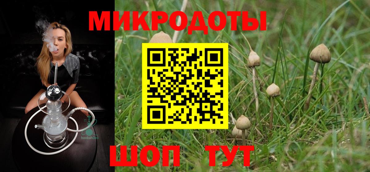 Псилоцибиновые грибы Psilocybe  Галлюциногенные грибы MAGIC MUSHROOMS  Иркутск  Вход с VPN 